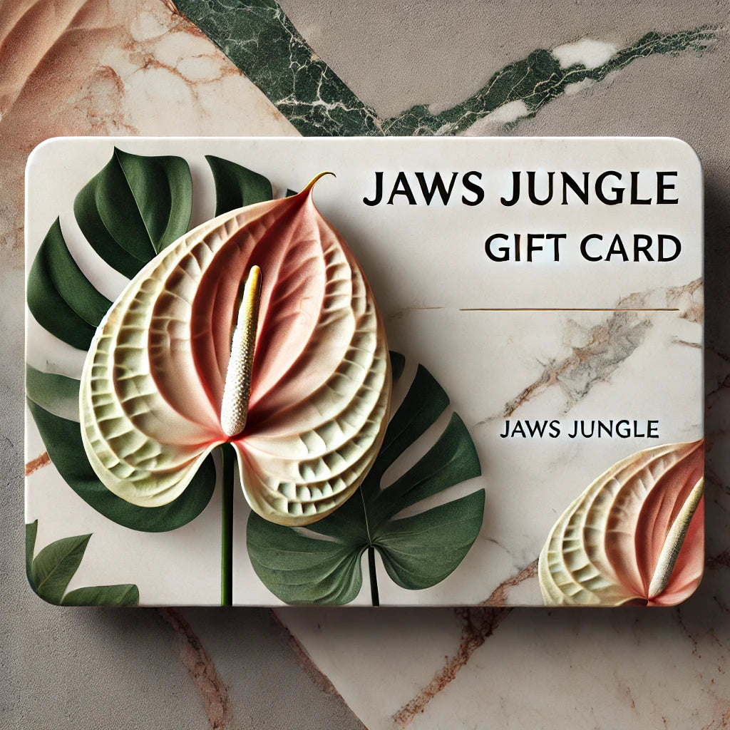 Jaws Jungle Gift Cards