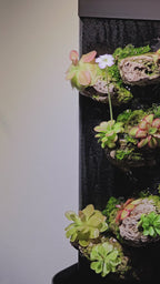 3D Printed Jaws Jungle Wall (+Pre-order)